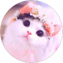 Harman Sangha profile picture