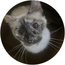 Adamaris G profile picture
